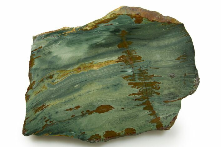 Gary Green Jasper (Larsonite) Bog Wood Slab - Oregon #377693
